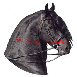 Samolepka frís Pieter van Diphoorn