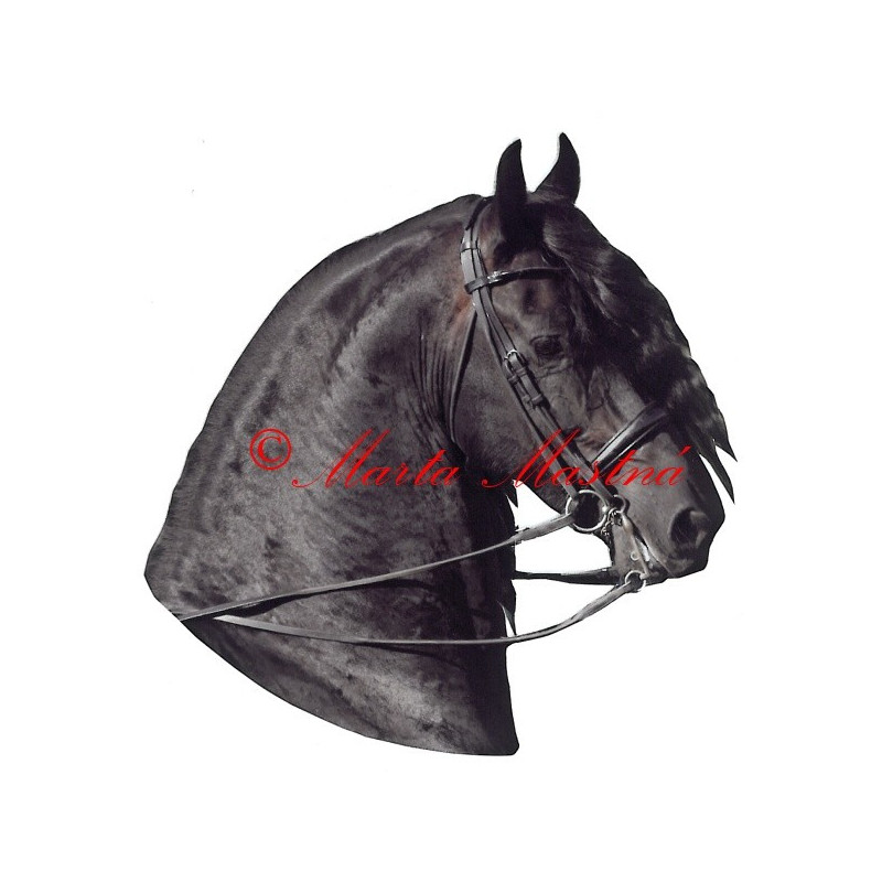 Samolepka frís Pieter van Diphoorn