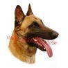 Samolepka belgický ovčák malinois 14