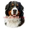 Samolepka bernský salašnický pes 148