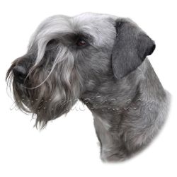 Český teriér, samolepka oboustranná č. 165