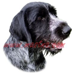 Samolepka německý ohař drátosrstý, drsnosrstý, hrubosrstý, 312