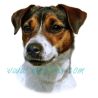 Samolepka Parson Russel, Jack Russel teriér 207