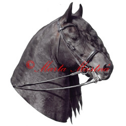 Samolepka frís Pieter van Diphoorn