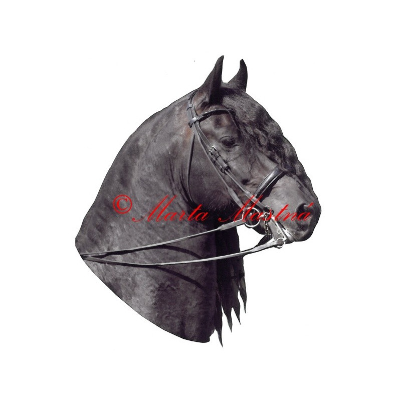 Samolepka frís Pieter van Diphoorn