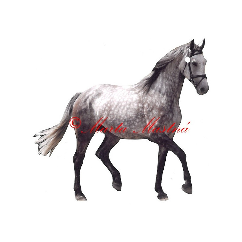 Samolepka kůň grošák