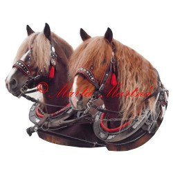 Samolepka chladnokrevní hřebci Arnold a Nick