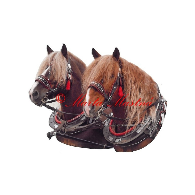 Samolepka chladnokrevní hřebci Arnold a Nick