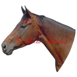 Samolepka teplokrevník