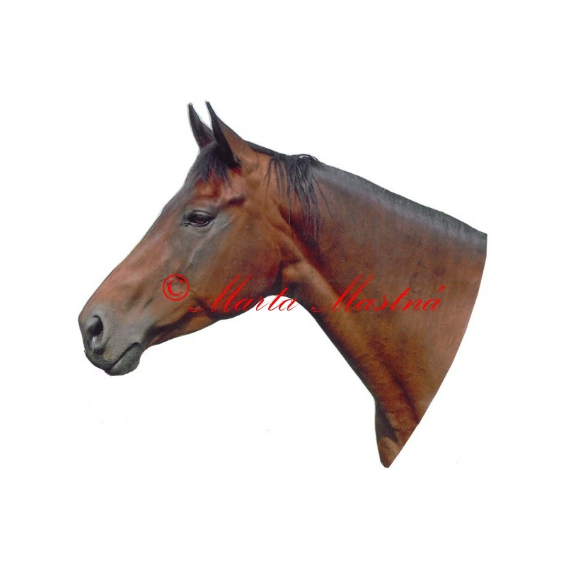 Samolepka teplokrevník