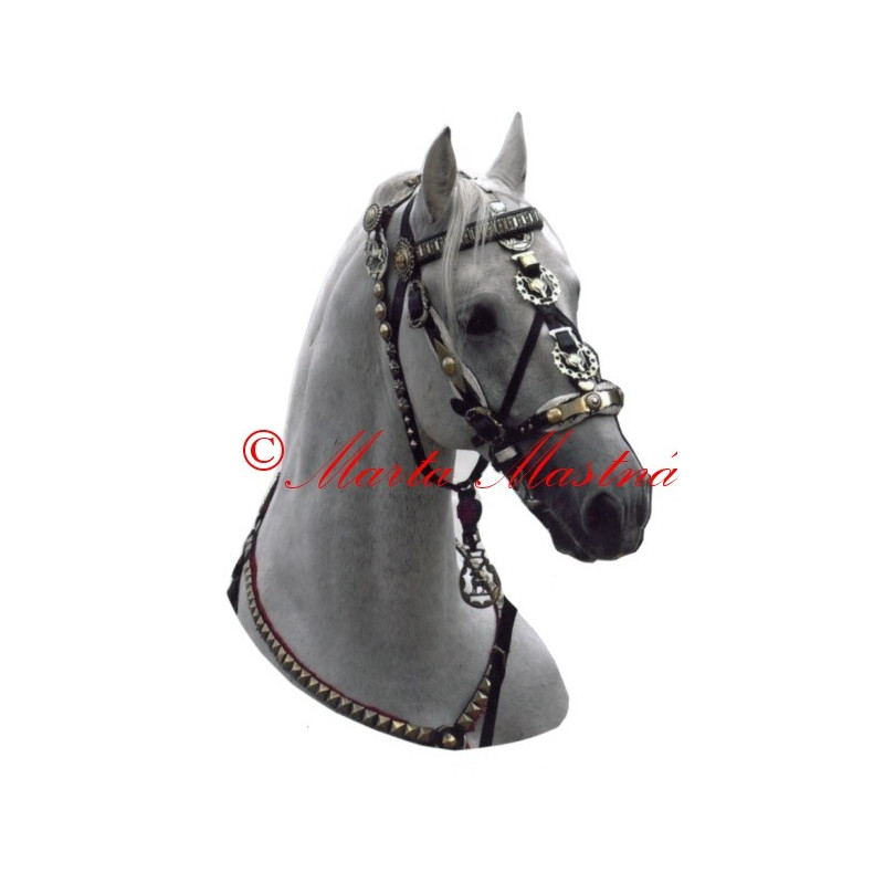 Samolepka kůň lipicán Darius