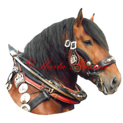 Samolepka chladnokrevník