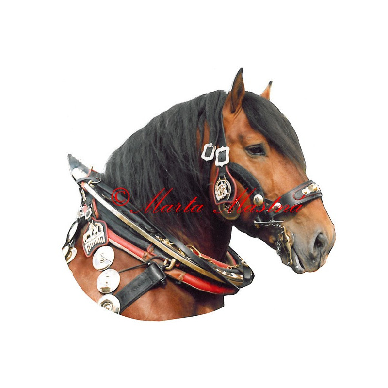 Samolepka chladnokrevník