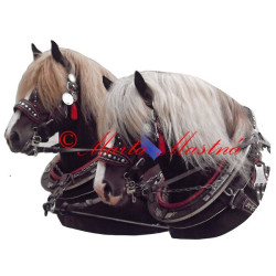 Samolepka chladnokrevní hřebci