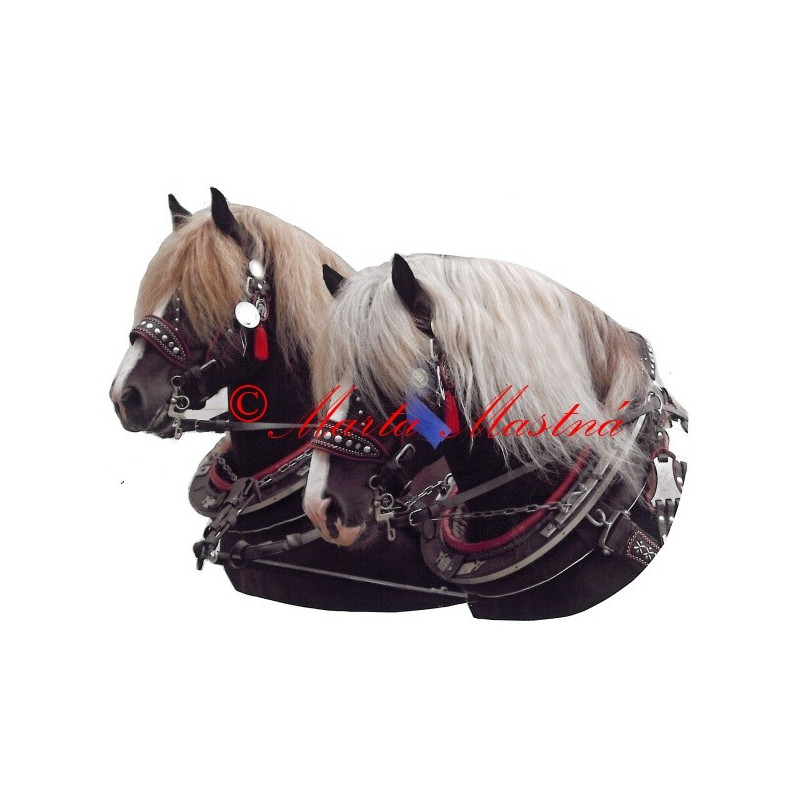 Samolepka chladnokrevní hřebci