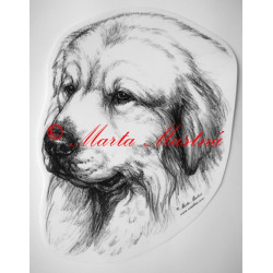 Pyrenejský horský pes