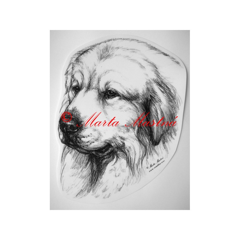 Pyrenejský horský pes