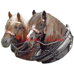 Samolepka chladnokrevníci