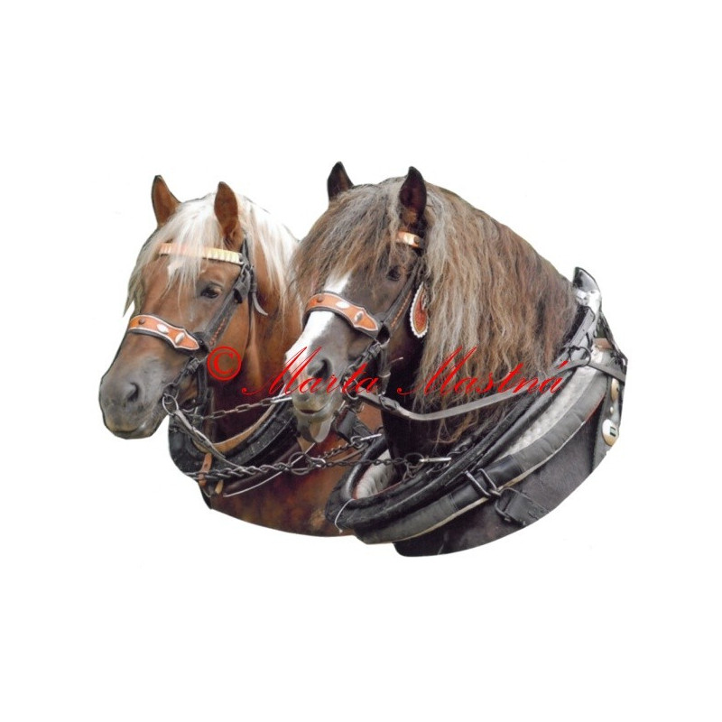 Samolepka chladnokrevníci