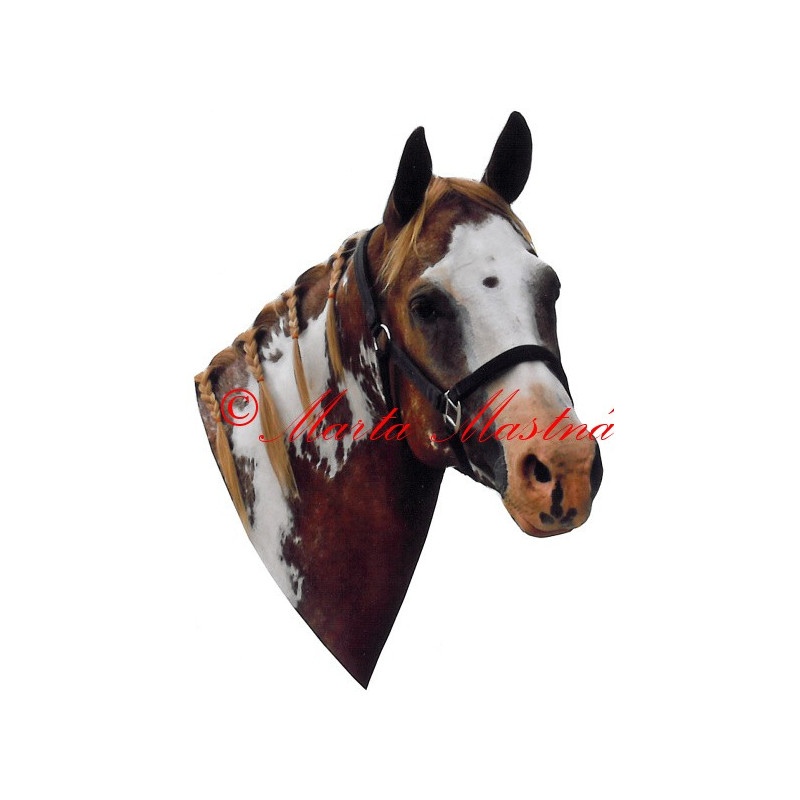 Samolepka paint horse