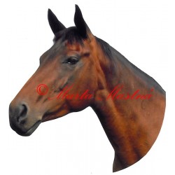 Samolepka kůň teplokrevník, koně