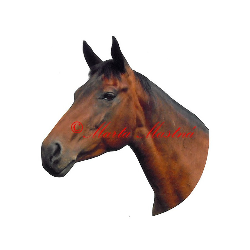 Samolepka teplokrevník