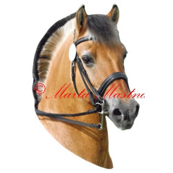 Samolepka fjordský kůň