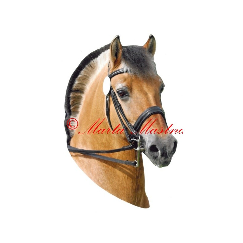 Samolepka fjordský kůň