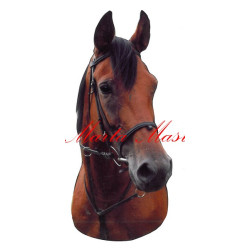 Samolepka teplokrevník