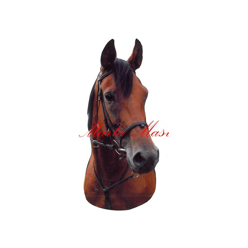 Samolepka teplokrevník