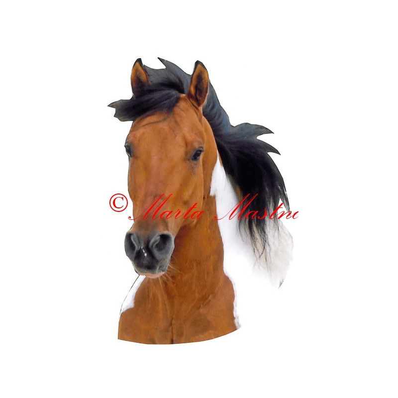 Samolepka paint horse