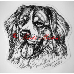 Bernský salašnický pes