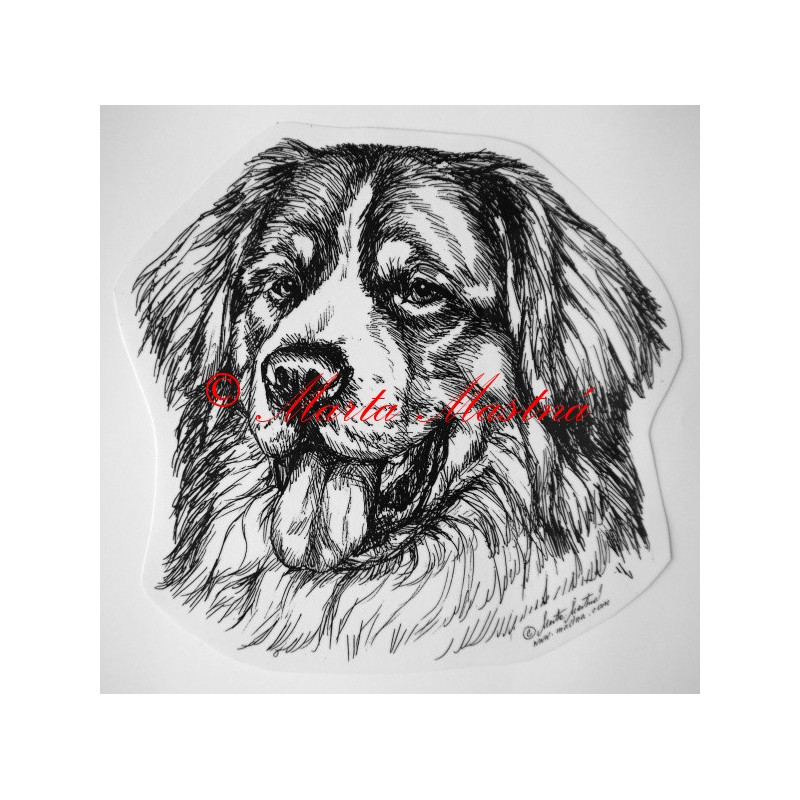 Bernský salašnický pes