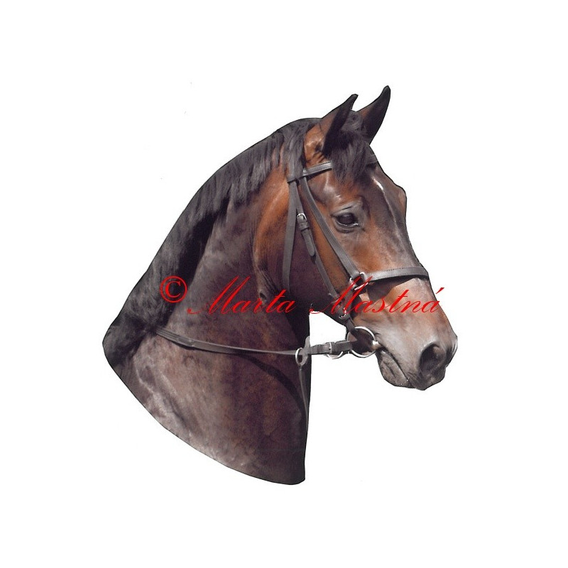 Samolepka teplokrevník