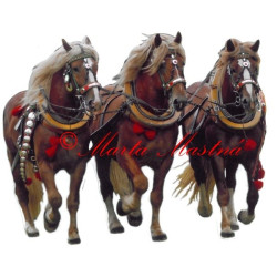 Samolepka chladnokrevní hřebci