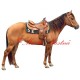 Samolepka quarter horse, western