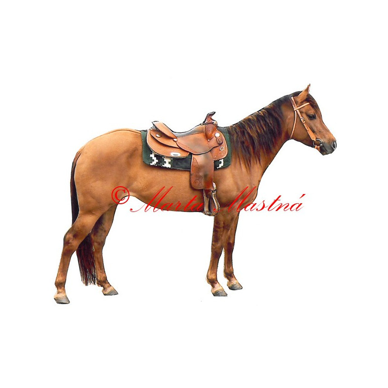Samolepka quarter horse, western