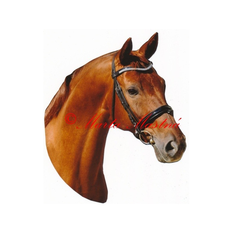 Samolepka teplokrevník