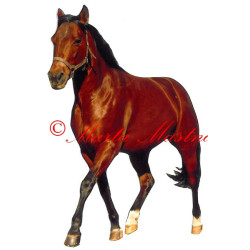 Samolepka quarter horse