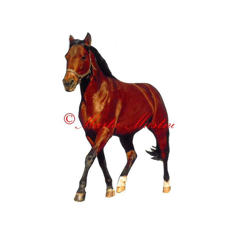 Samolepka quarter horse