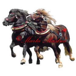 Samolepka chladnokrevní hřebci Makon a Bosbar