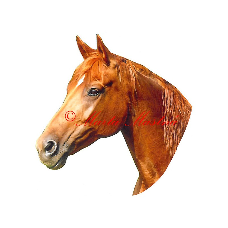 Samolepka teplokrevník