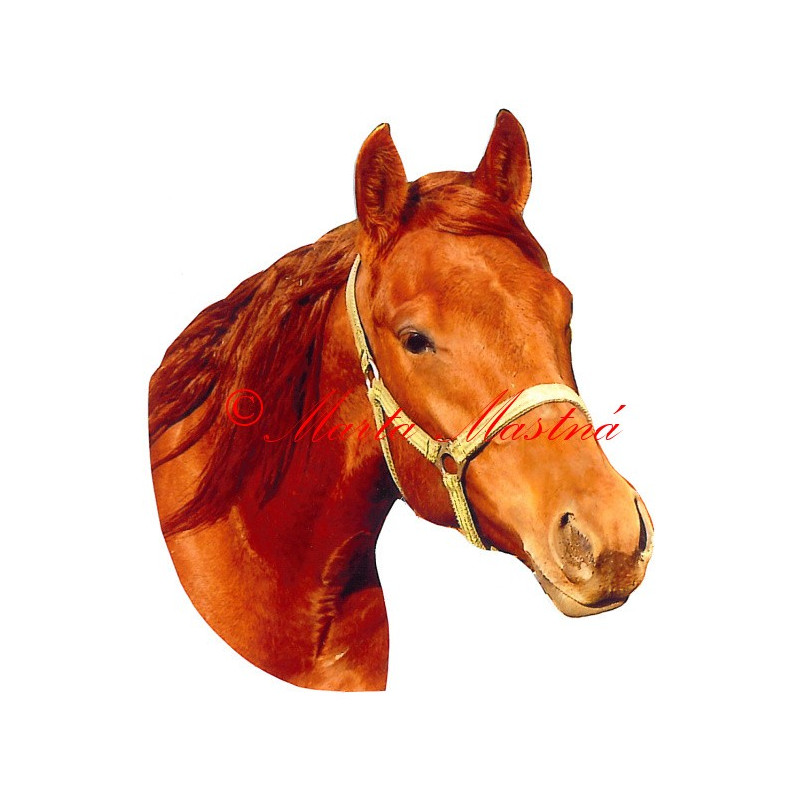 Samolepka quartër horse