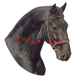 Samolepka starokladrubský vraník