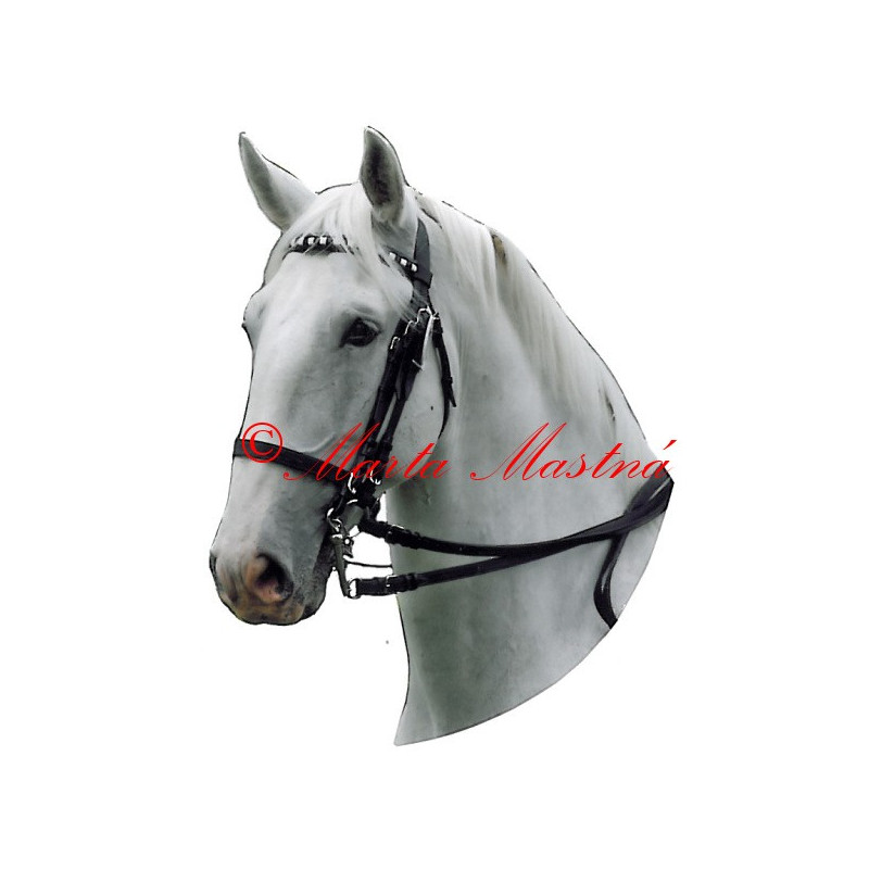 Samolepka starokladrubský bělouš