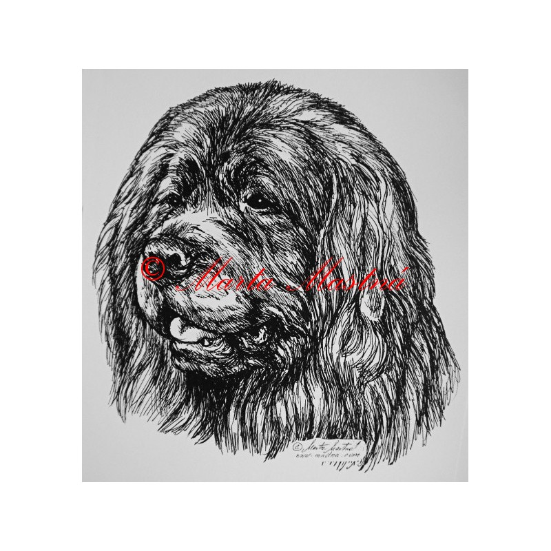 Novofundlandský pes