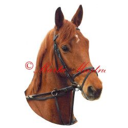 Samolepka teplokrevník