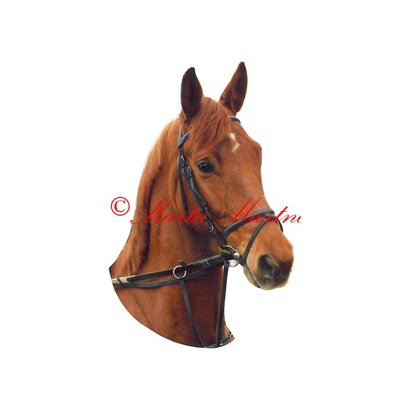 Samolepka teplokrevník