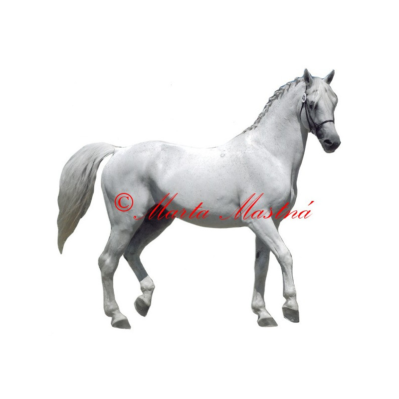 Samolepka teplokrevník