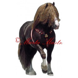 Samolepka českomoravský belgik Agar, chladnokrevník, kůň, koně - archiv